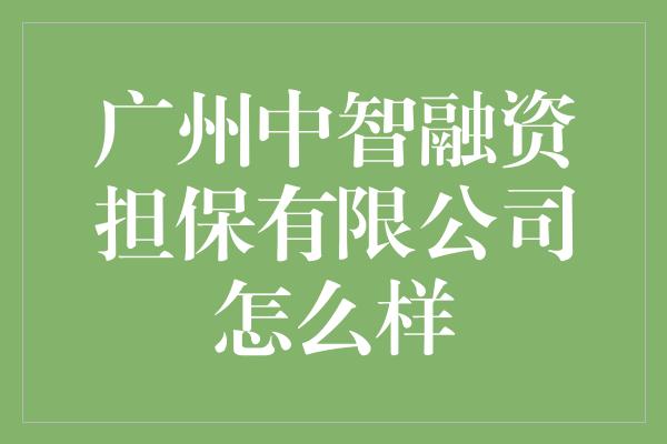 广州中智融资担保有限公司怎么样