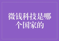 微钱科技：你造吗？它其实是个国际纵队！