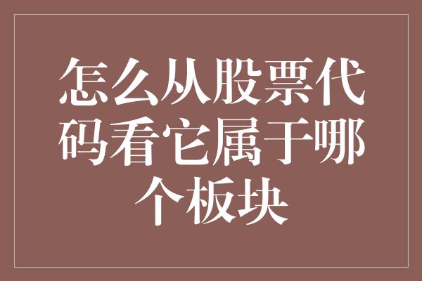 怎么从股票代码看它属于哪个板块