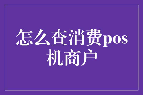 怎么查消费pos机商户