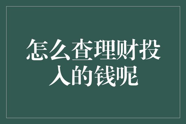 怎么查理财投入的钱呢