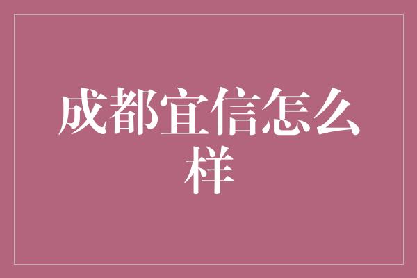 成都宜信怎么样