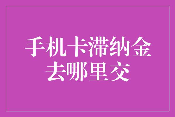 手机卡滞纳金去哪里交