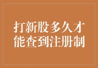 中国股市打新股：注册制何时可见？新股中签者何时能查询信息？