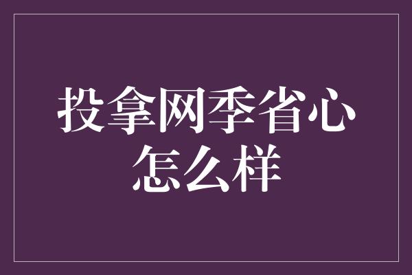 投拿网季省心怎么样