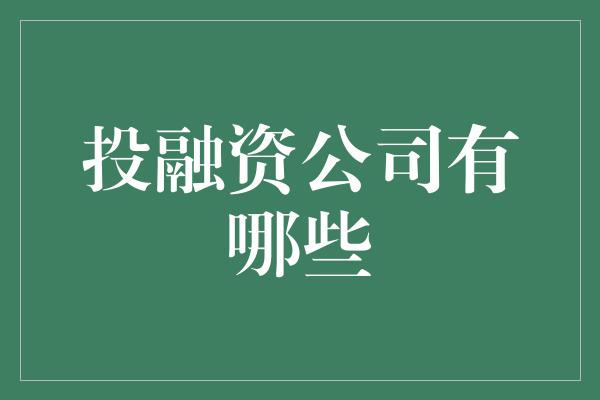 投融资公司有哪些