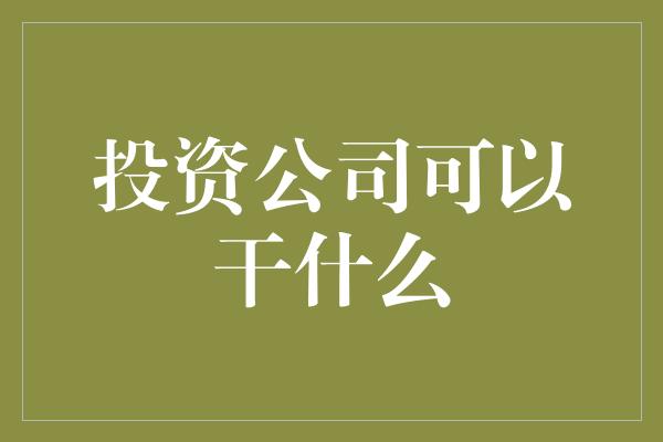 投资公司可以干什么