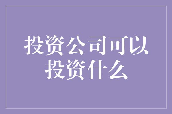 投资公司可以投资什么