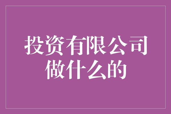 投资有限公司做什么的