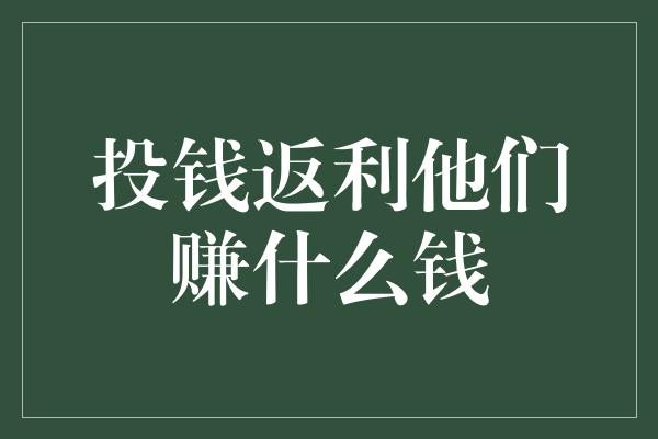 投钱返利他们赚什么钱