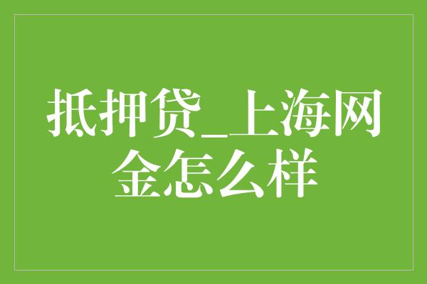 抵押贷_上海网金怎么样