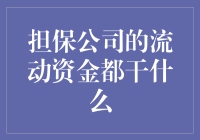 担保公司的流动资金用途探究