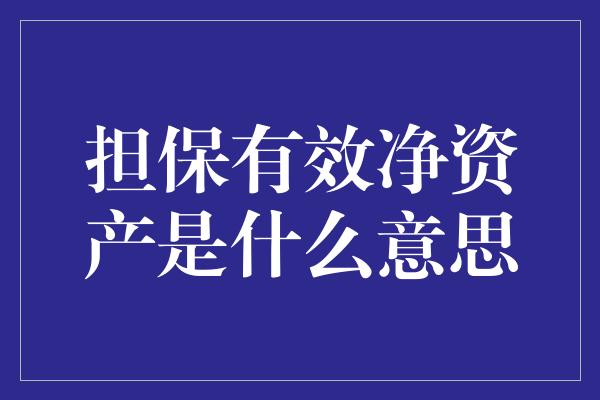 担保有效净资产是什么意思