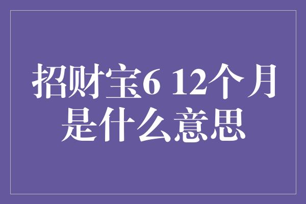 招财宝6 12个月是什么意思