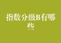 指数分级B是个啥？难道是新出的炸鸡口味？