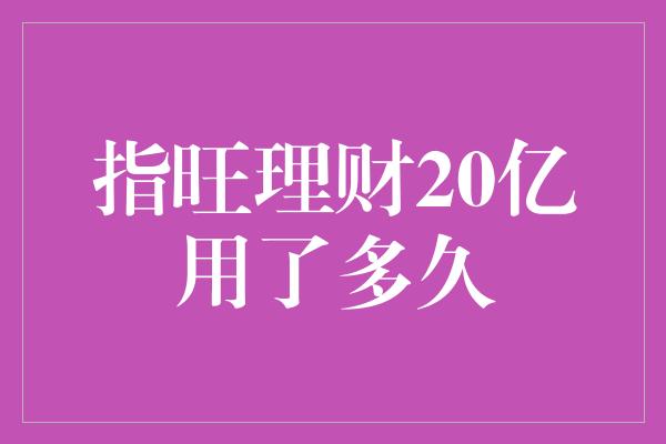 指旺理财20亿用了多久