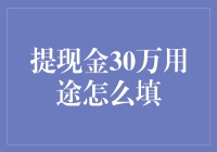 提现金30万用途怎么填？这份幽默指南给你支招！