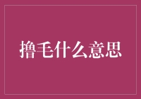 撸毛是什么意思？你问我我也是醉了