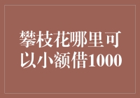 攀枝花的996小王子如何在三天内成功借到1000元