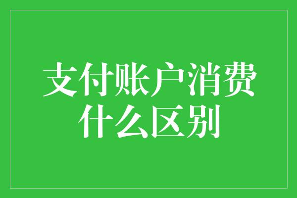 支付账户消费什么区别