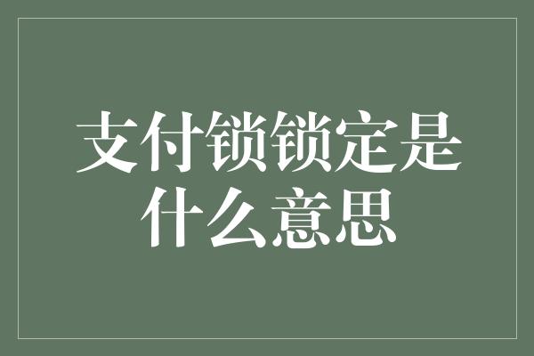 支付锁锁定是什么意思