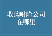 从寻找宝物到被埋宝藏：揭秘收购财险公司的神秘之旅