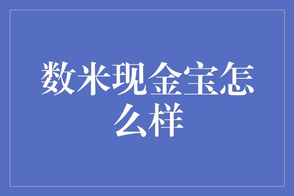 数米现金宝怎么样