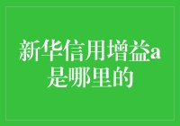 新华信用增益A：深耕信用投资领域的卓越平台