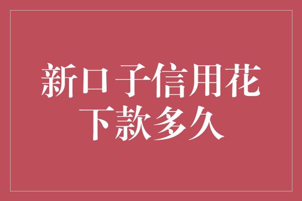 新口子信用花下款多久