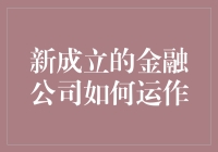 新成立的金融公司如何有效运作：从规划到运营