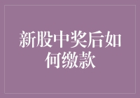 新股中奖后如何缴款？一招教你搞定！