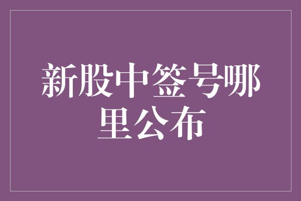 新股中签号哪里公布