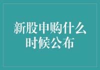 新股申购何时公布：一场投资者的期待与等待