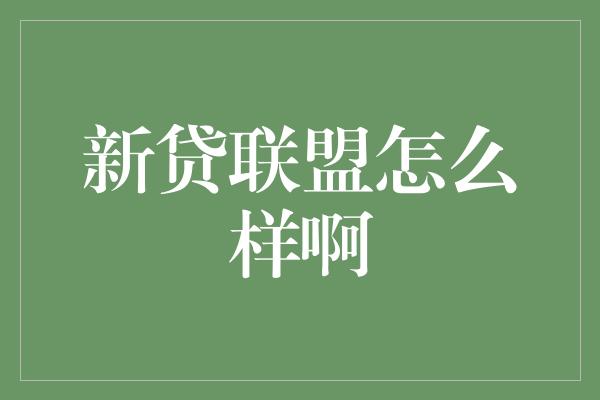 新贷联盟怎么样啊