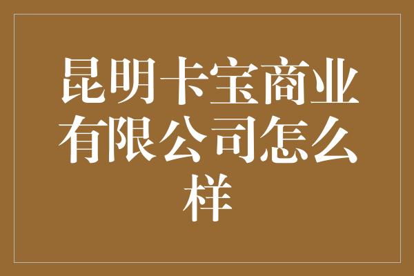 昆明卡宝商业有限公司怎么样