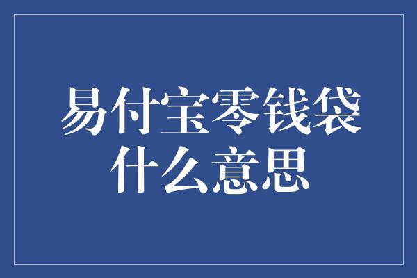 易付宝零钱袋什么意思