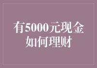 5000元现金：理财策略分析与实践指南