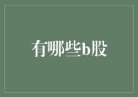 中国B股：投资海外视野下的本土机遇