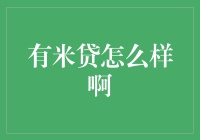 有米贷：借钱不用愁，欠债先欢乐