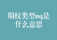 期权类型NQ详解：新手指南与投资策略