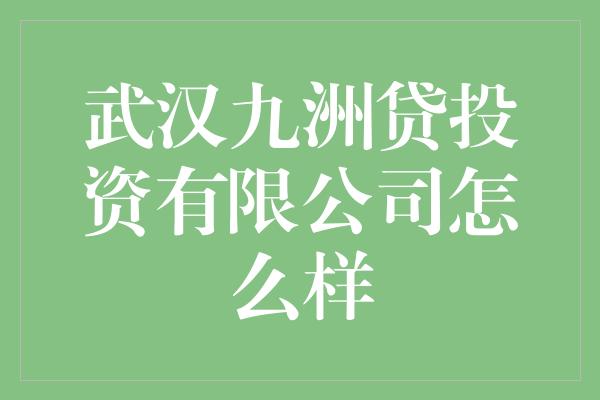 武汉九洲贷投资有限公司怎么样