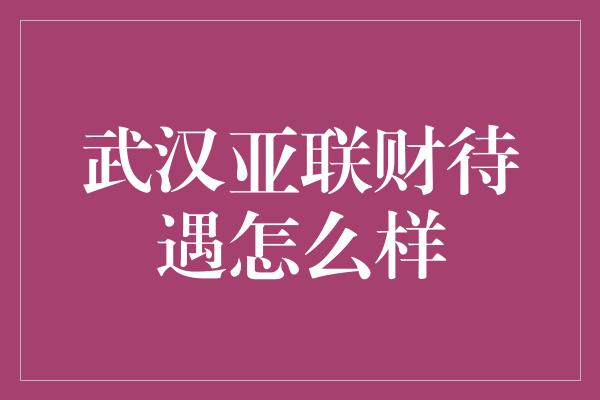 武汉亚联财待遇怎么样