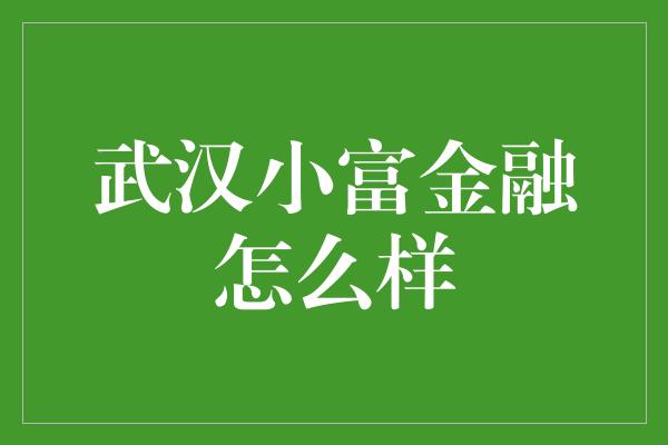 武汉小富金融怎么样