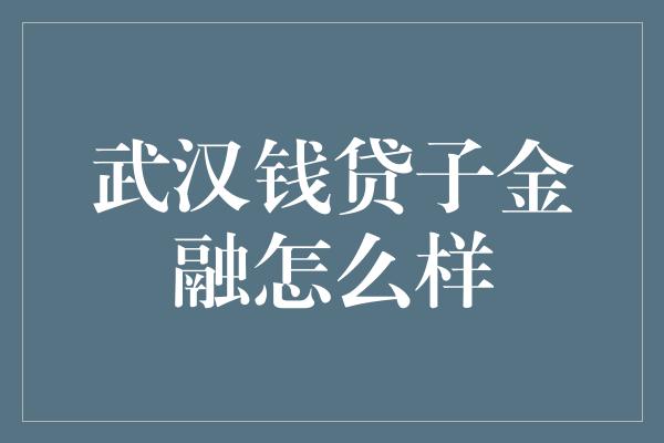 武汉钱贷子金融怎么样