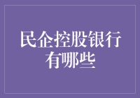 民企控股银行：传统金融体系的革新者与挑战者