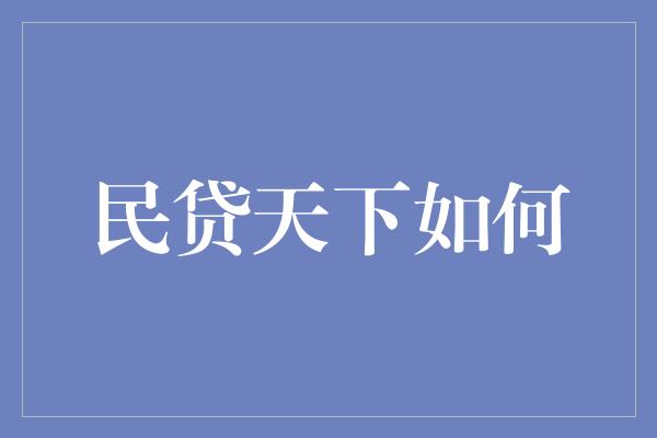 民贷天下如何