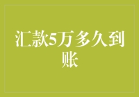 汇款5万，看它是游得快还是银行系统慢