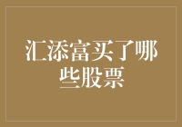 汇添富基金投资策略分析：揭秘其股票持仓背后的逻辑