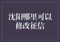 沈阳信用修复中心：重塑个人信誉的权威平台