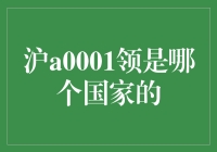 沪A0001：巅峰之上，谁主沉浮？